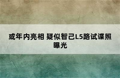 或年内亮相 疑似智己L5路试谍照曝光